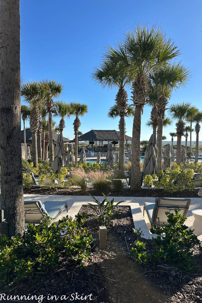 Things to Do on Amelia Island 
