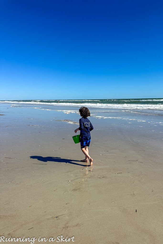 things to do on amelia island