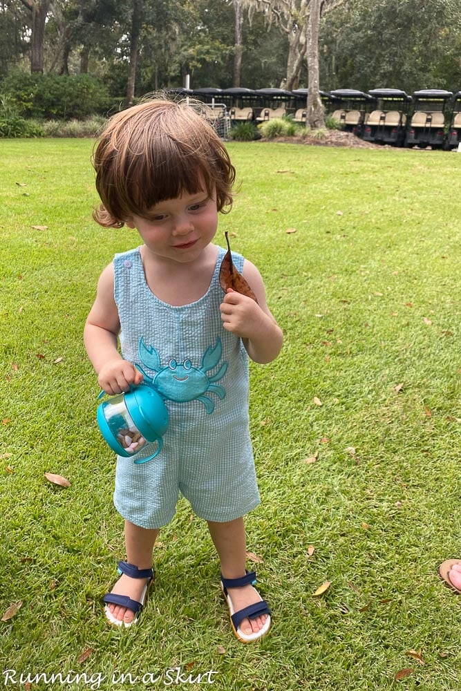 Toddler on grass.