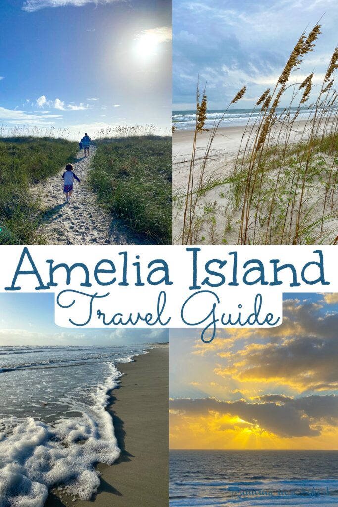 What to do in Amelia Island pinterest collage.