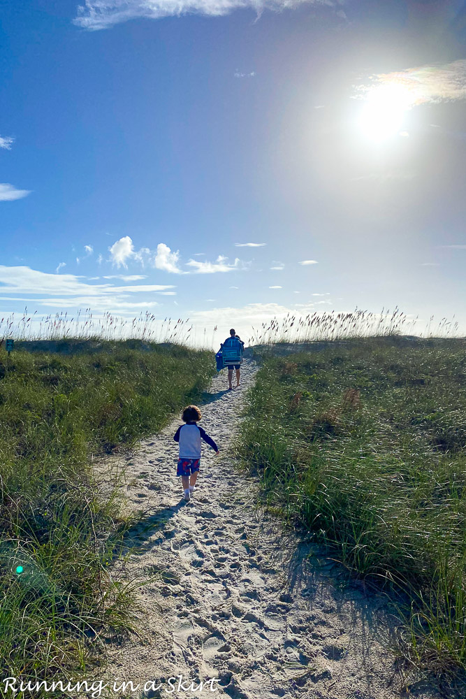 Sand dune Amelia Island.