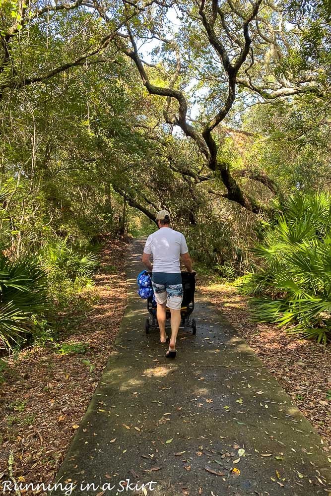 Walking path at Amelia Island.