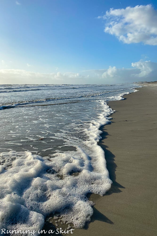 Shells on beach.