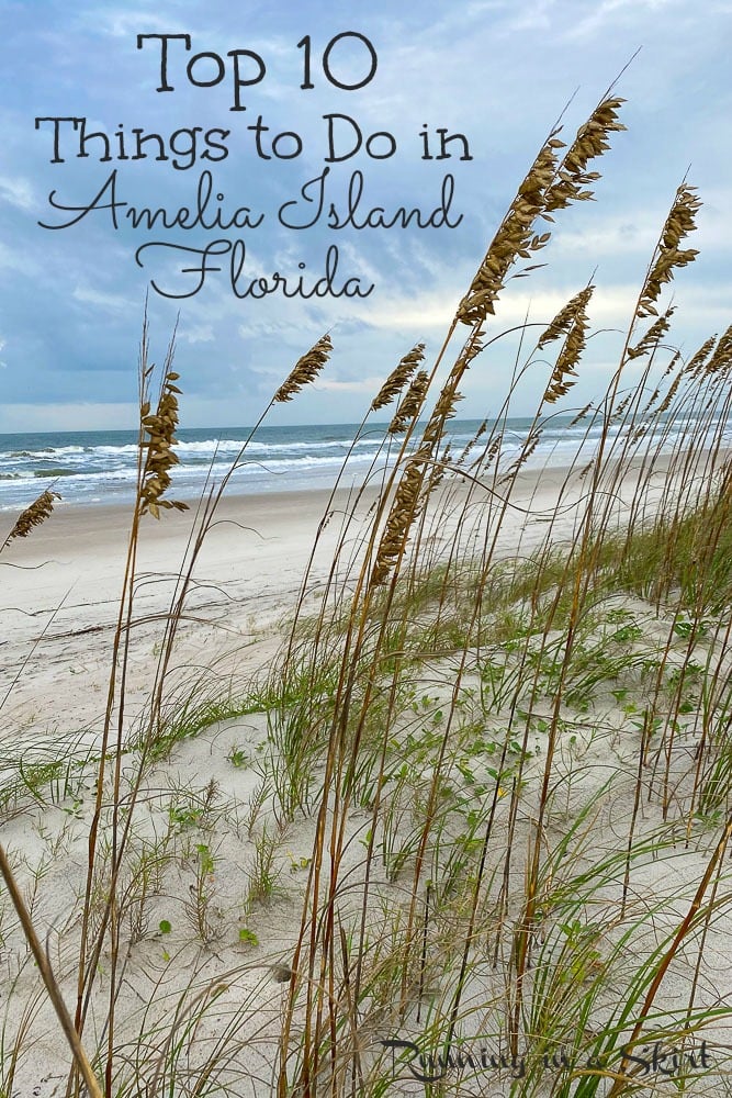 What to do in Amelia Island Pinterest pin