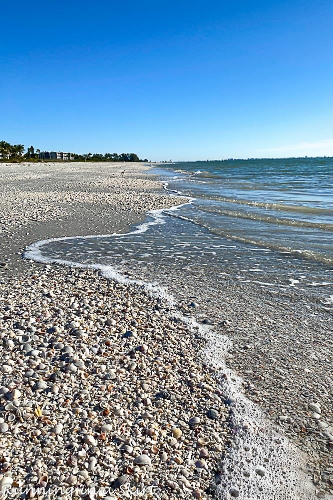 Best Sanibel Island Bait and Tackle Shop, Must Do Visitor Guides