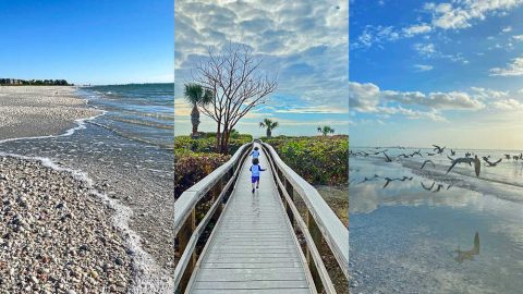 Sanibel Travel Guide