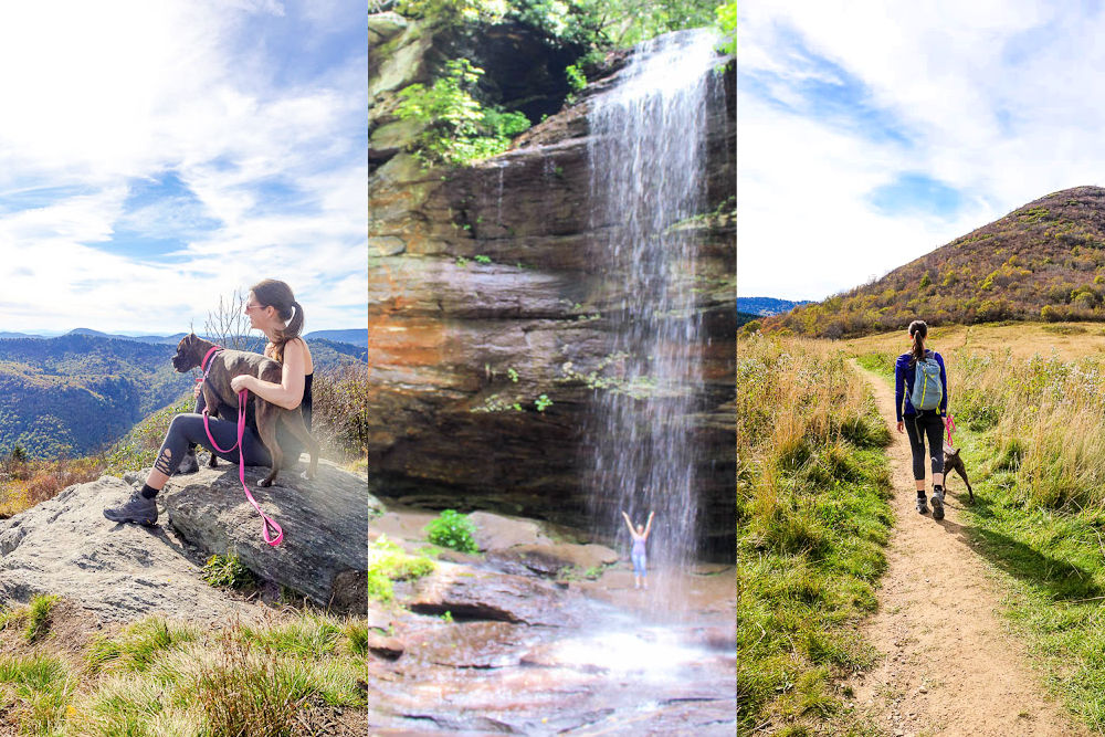 Collage of some of the best hikes near Asheville NC.