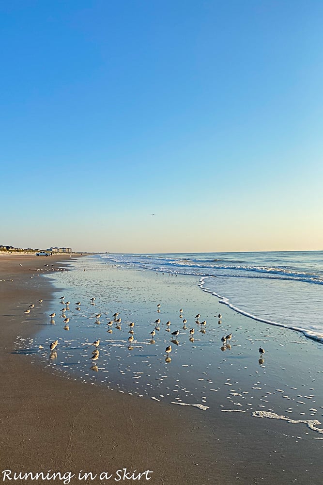 Amelia Island wide open beaches.