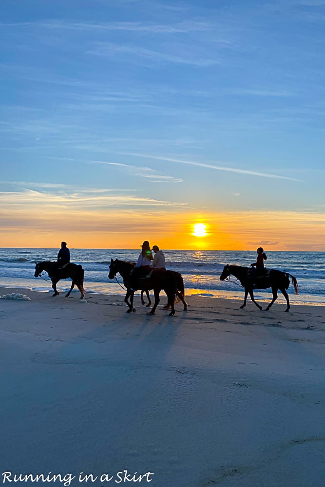 Horseback Riding Amelia Island