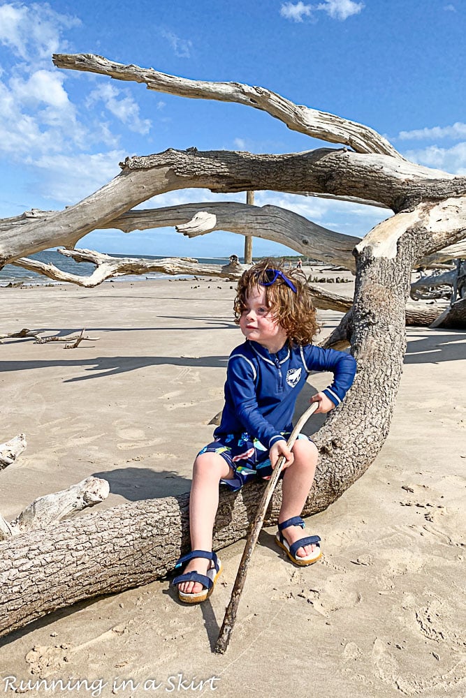 Boy playing in the driftwood.