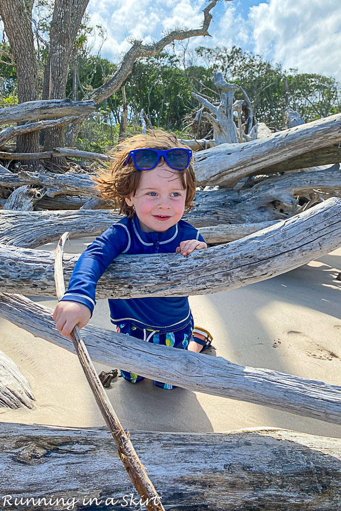 Boy playing in the driftwood.