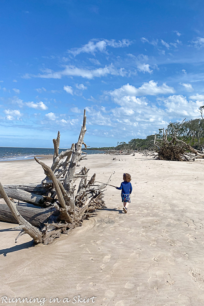 Boneyard Beach on Big Talbot Island State Park.