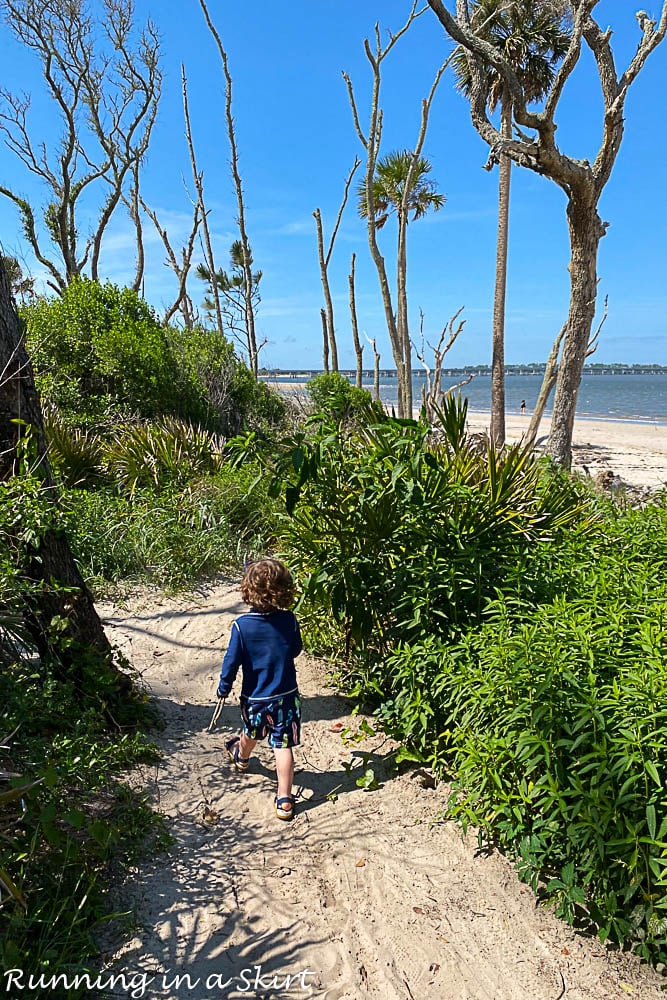 Bluff to get to the beach.