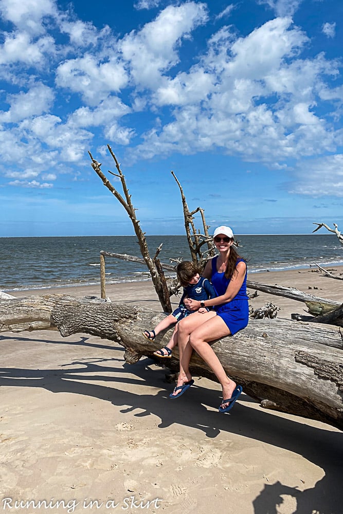 Mom holding boy on driftwood tree.