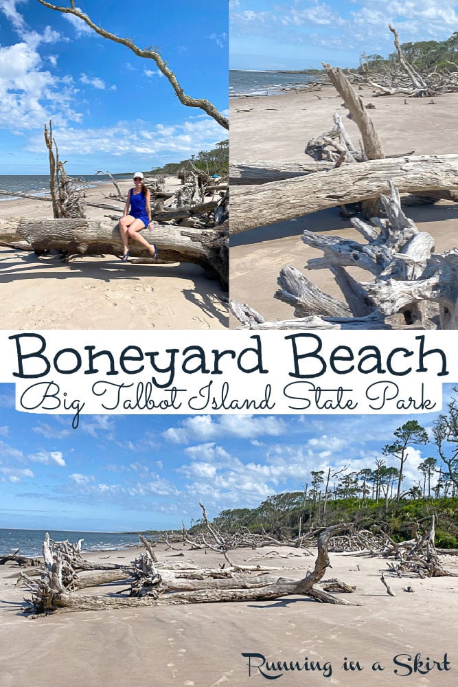 Boneyard Beach Florida - Big Talbot Island State Park via @juliewunder