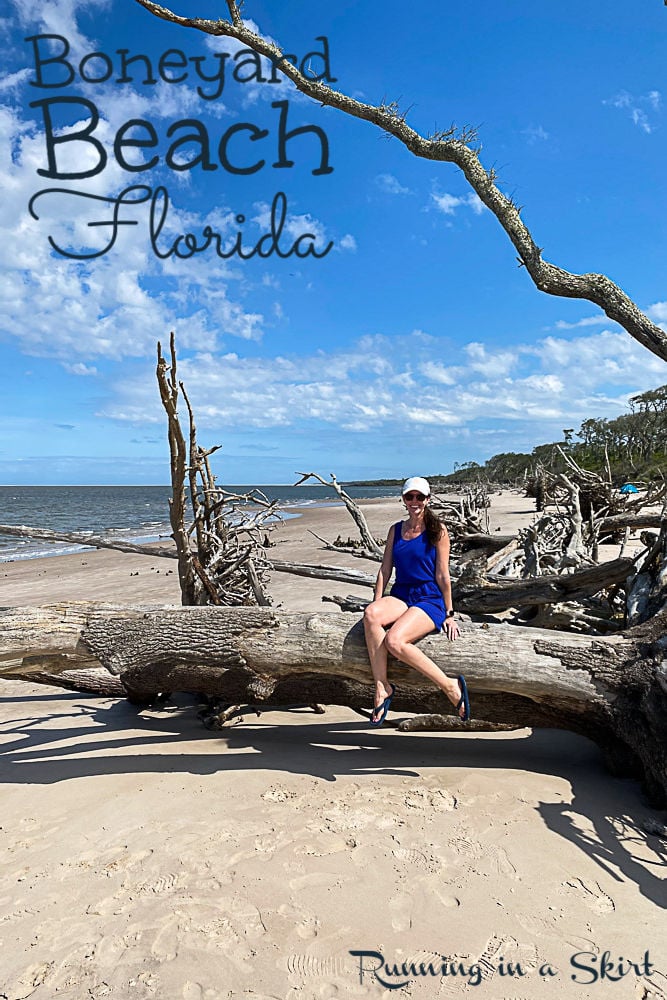 Boneyard Beach Florida Big Talbot Island State Park pin