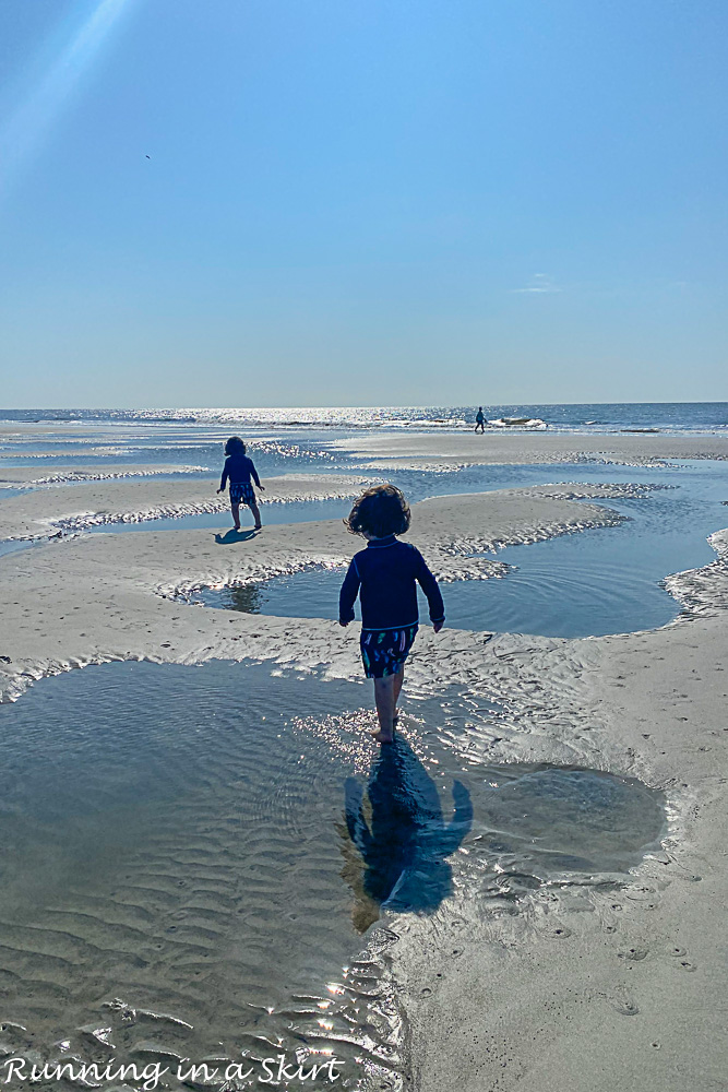 Hilton Head Island beaches tidepools.