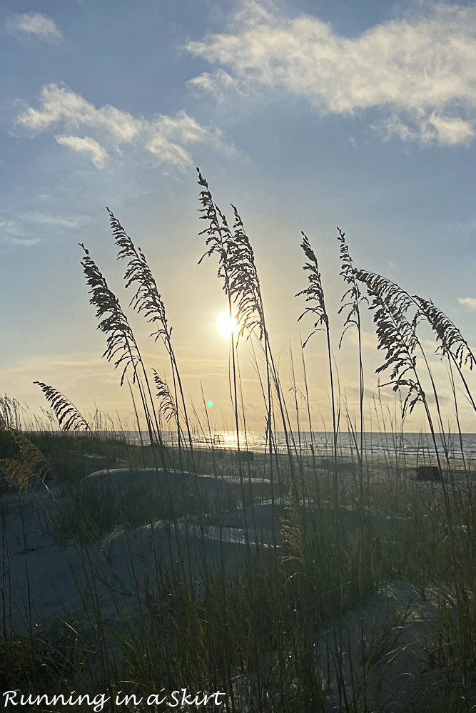 Hilton Head Island Travel Guide beaches with sea grass.