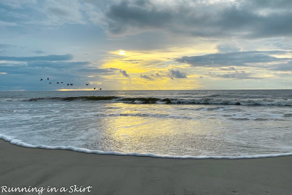 Things to Do in St. Simons Island GA beach