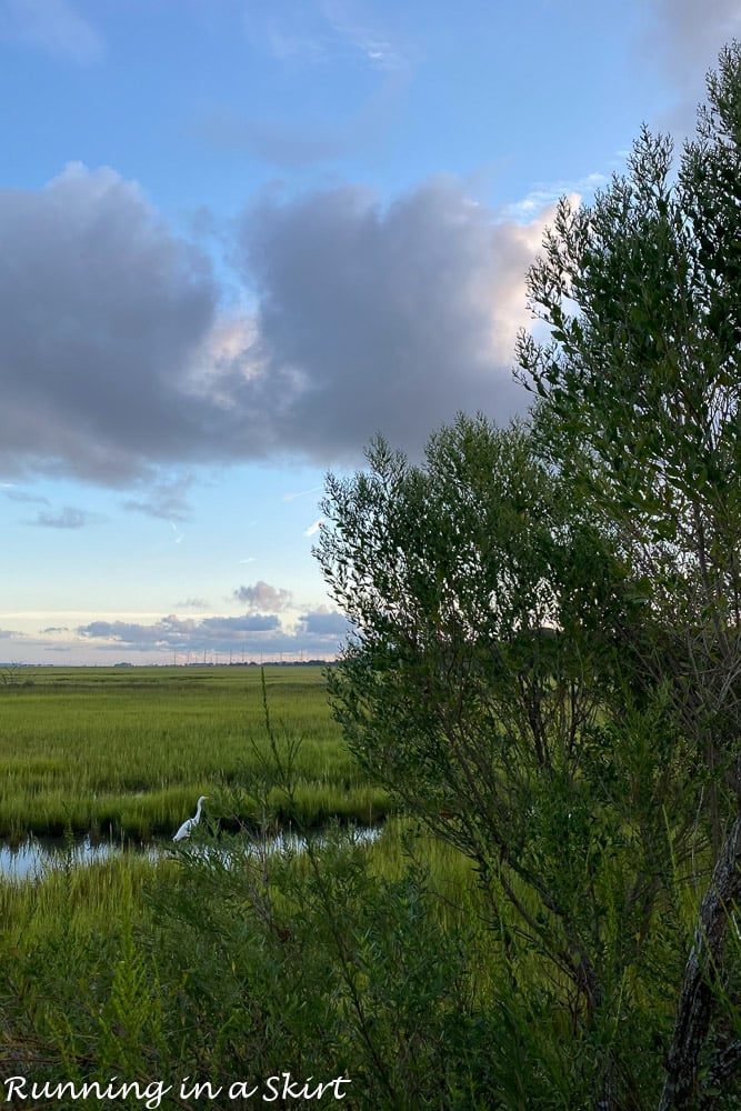 Things to Do in St. Simons Island GA Marsh