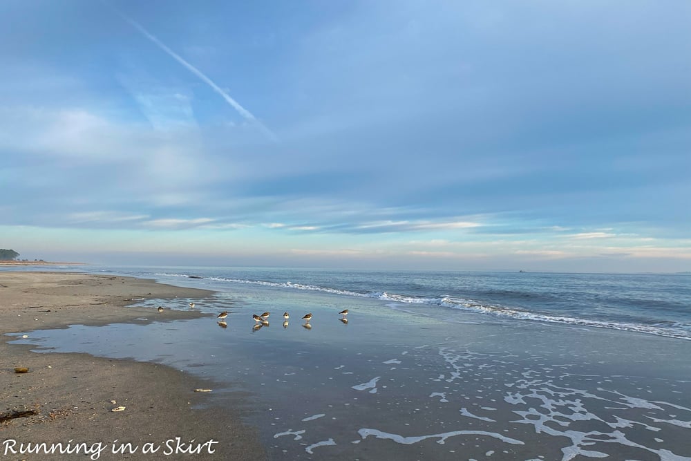 What to do in Hilton Head in December, Winter & Off Season beaches