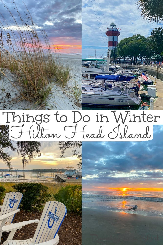 Hilton Head Things to Do in Winter Pinterest Collage