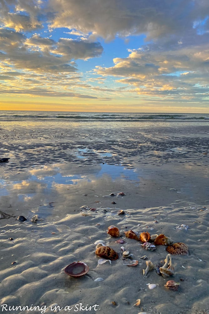 Sanibel beach at sunrise with shells.