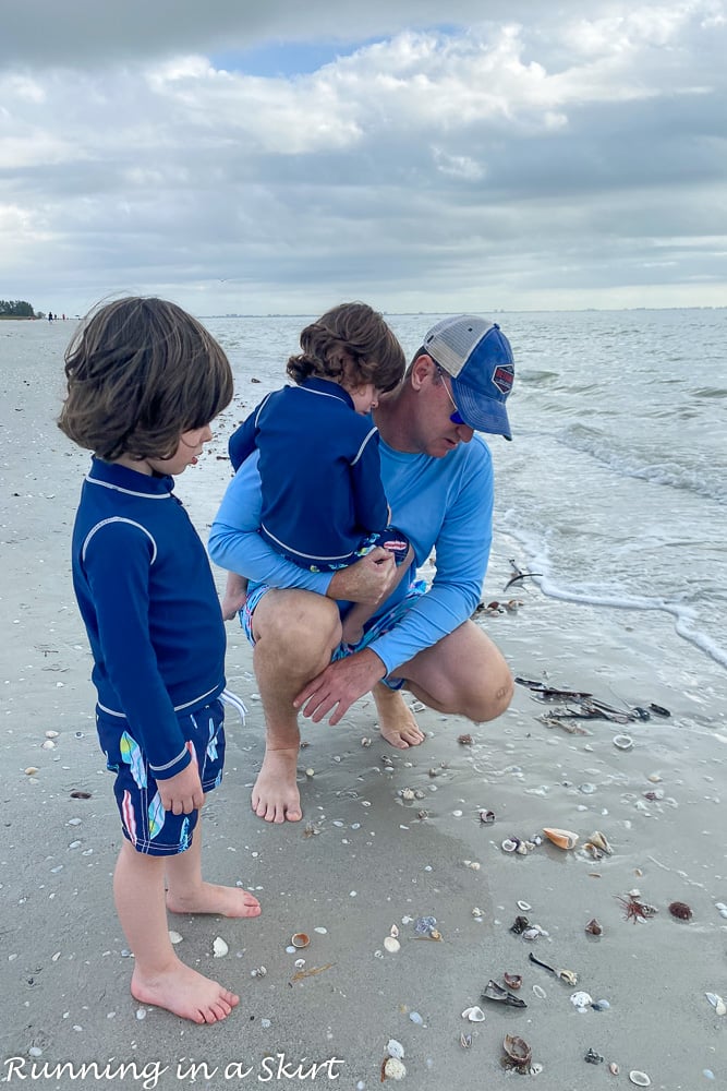 Dad showing kids the shells on Sanibel beaches.