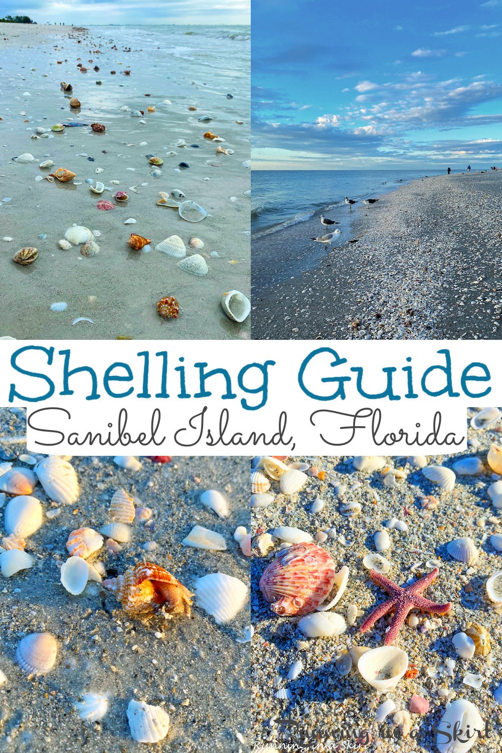 Sanibel Shelling Guide - Where & How to Find the Best Shells. Looking for the best shelling in Sanibel, Florida? This guide has specific tips on the best places to look, best shelling beaches in Sanibel FL, times to look, and which shells are the best. Sanibel Island shelling lives up to the hype! / Running in a Skirt #sanibel #floridatravel #sanibelflorida #sanibelandcaptiva via @juliewunder
