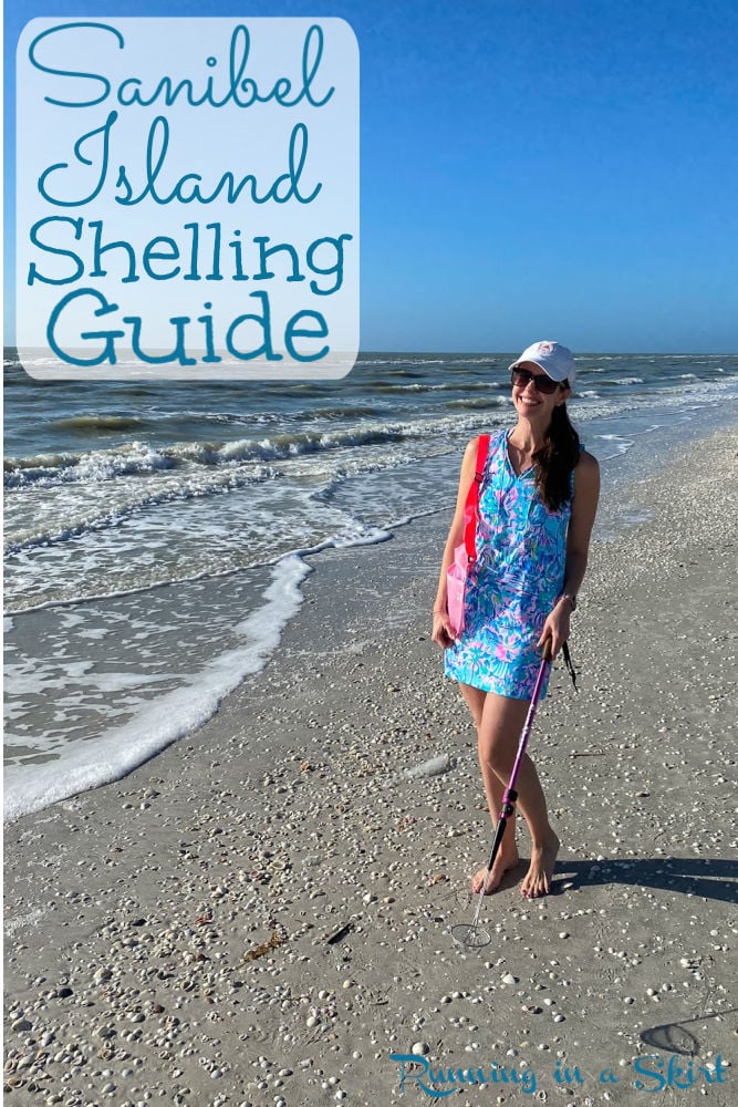 Sanibel Island Shells Pinterest Pin