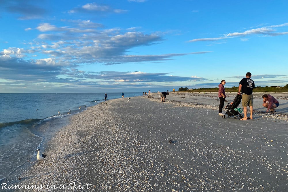 People doing the Sanibel Stoop.