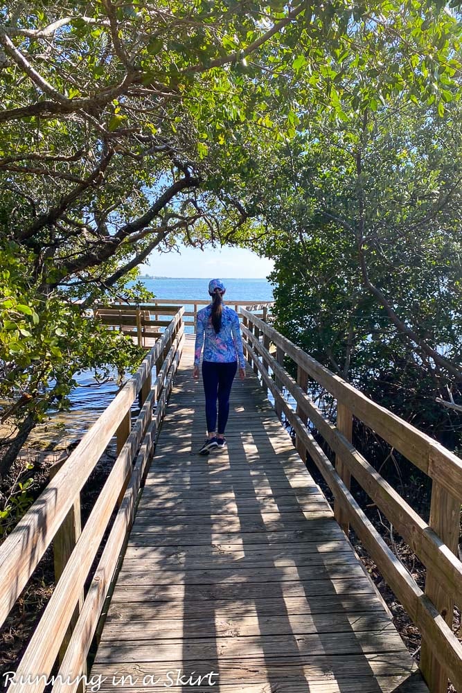 Leffis Key mangrove tunnel