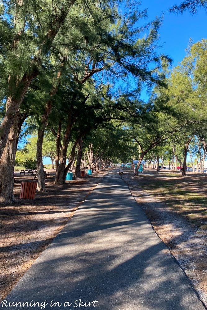 Things to Do Anna Maria Island - Beach path at Coquina Beach