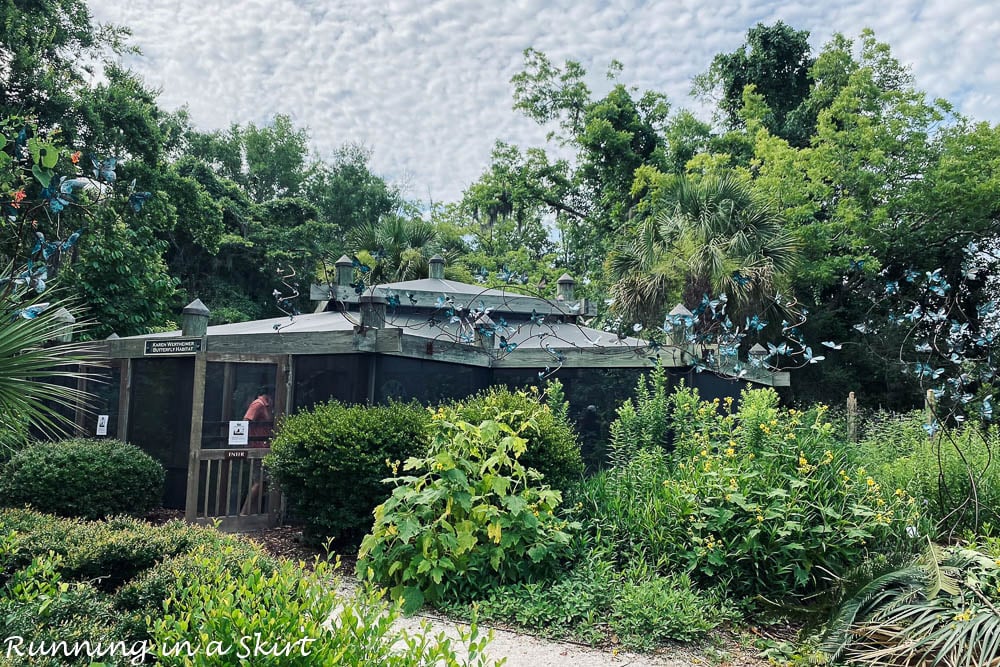 Coastal Discovery Museum Hilton Head Butterfly Habitat exterior