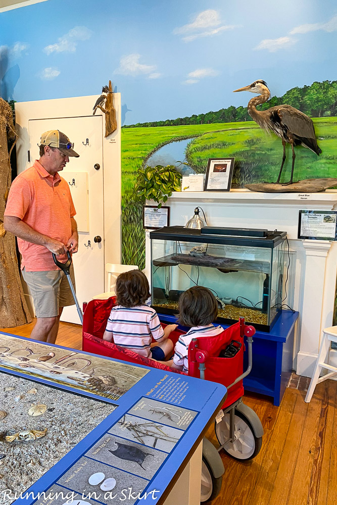 Coastal Discovery Museum Hilton Head Discovery House