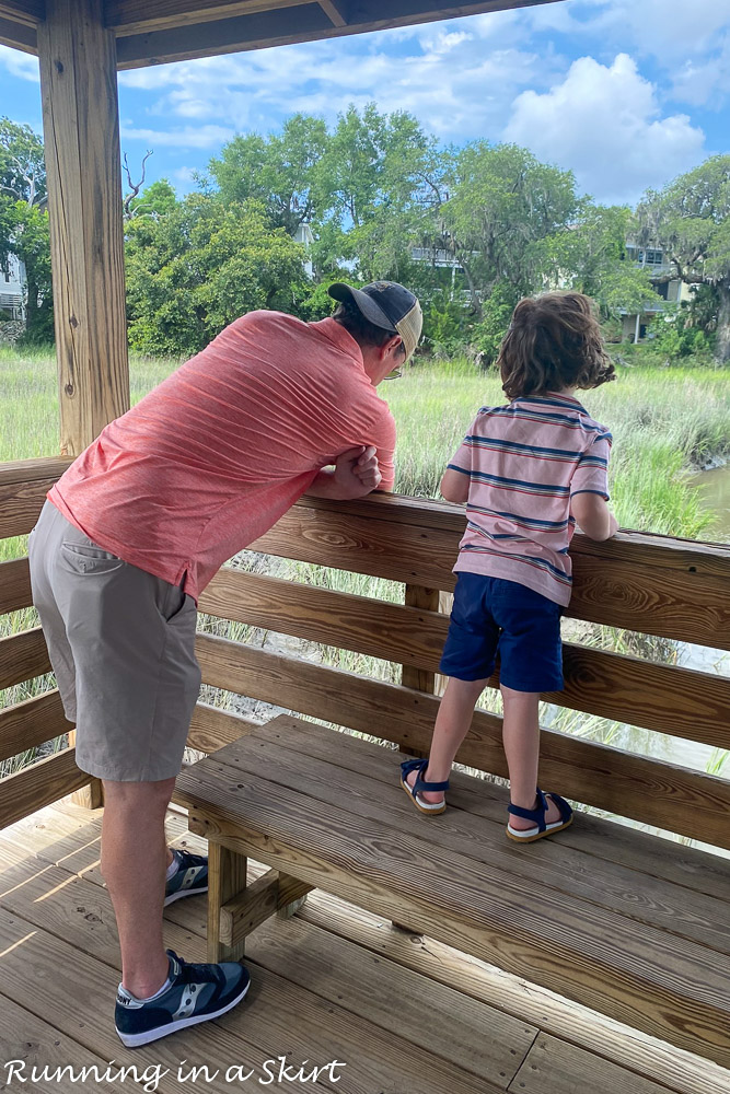 Coastal Discovery Museum Hilton Head Marsh Discovery Walk