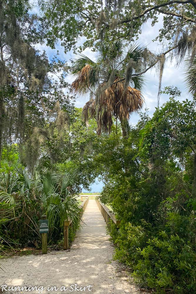 Coastal Discovery Museum Hilton Head marsh boardwalk.