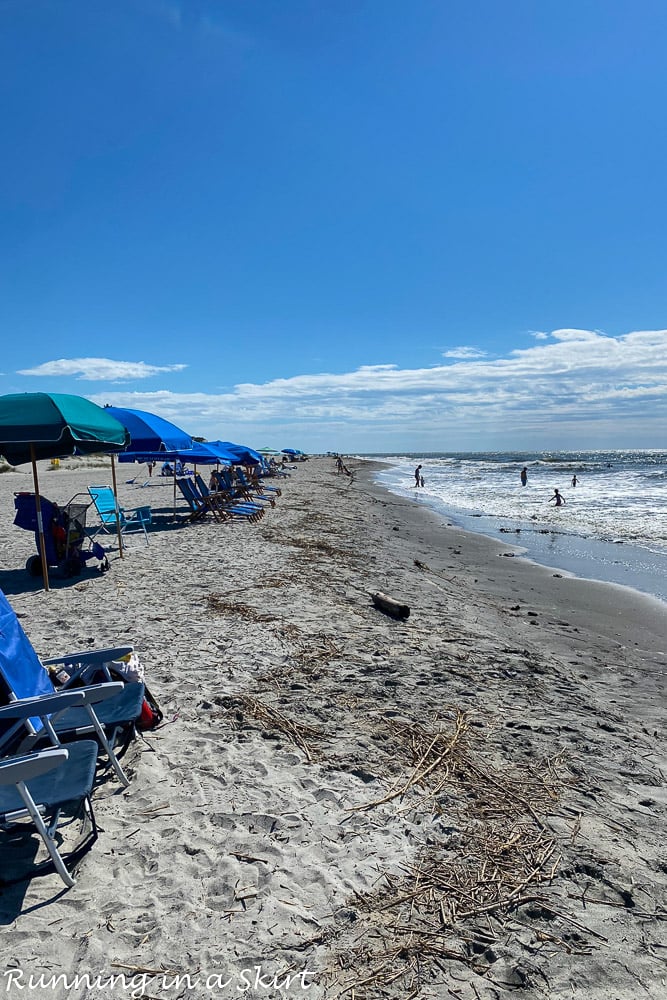 Crowded isle of palms beach.