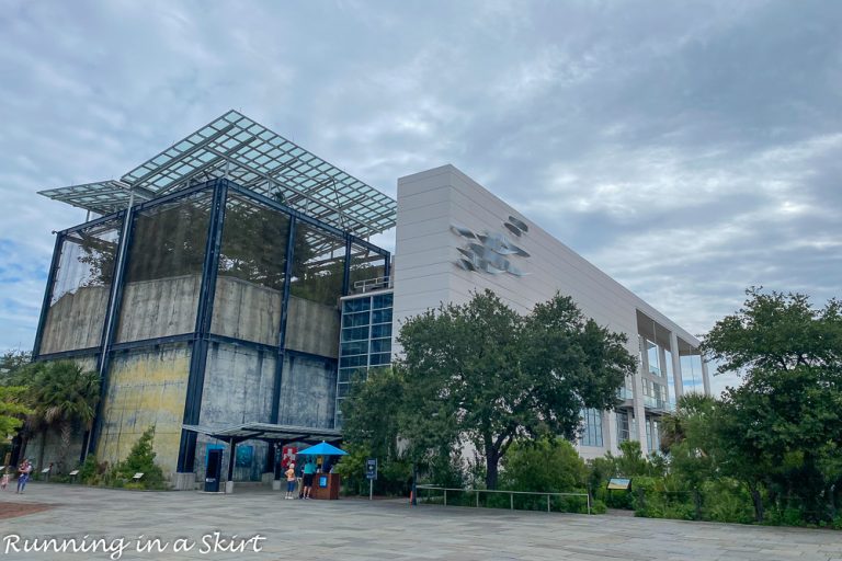 South Carolina Aquarium Charleston Guide « Running in a Skirt