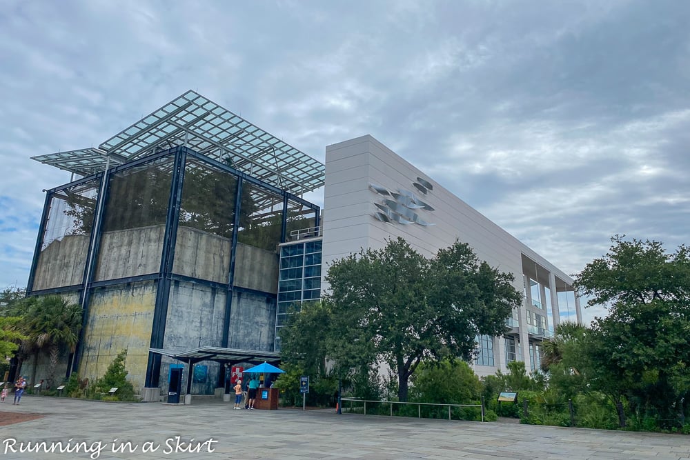 Outside of the Charleston Aquarium.