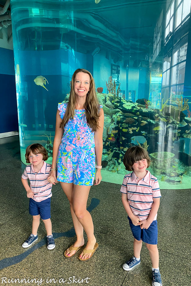 South Carolina Aquarium Charleston Indoor fish tank.