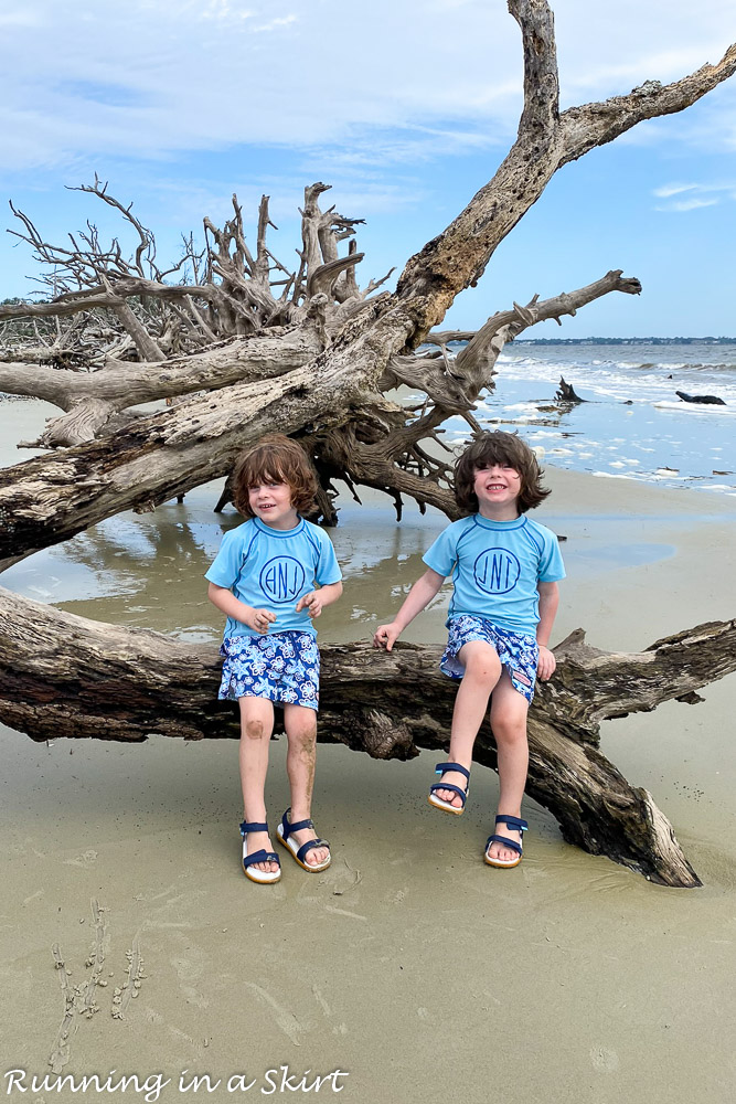 Driftwood Beach Jekyll Island - boys sitting on the driftwood.