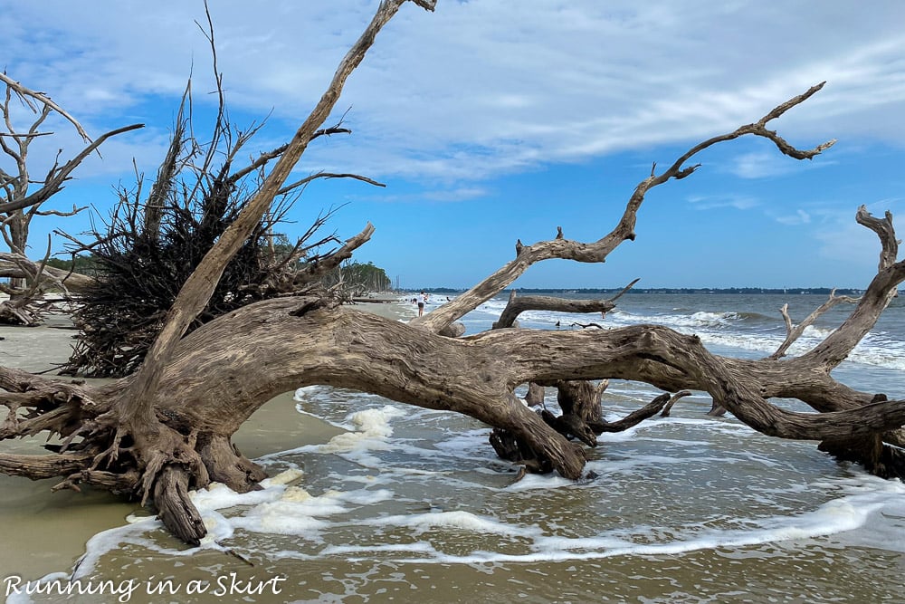Driftwood Beach Jekyll Island waves and driftwood.