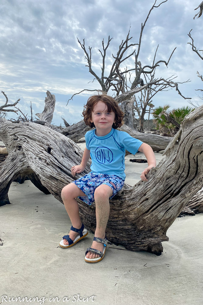 Driftwood Beach Jekyll Island photography