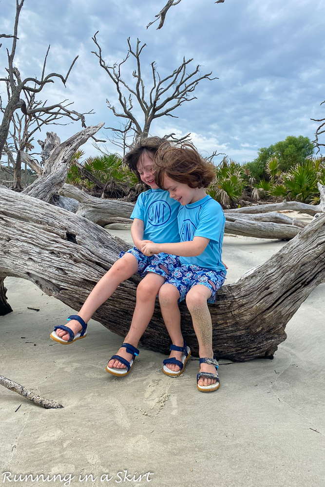 Driftwood Beach Jekyll Island