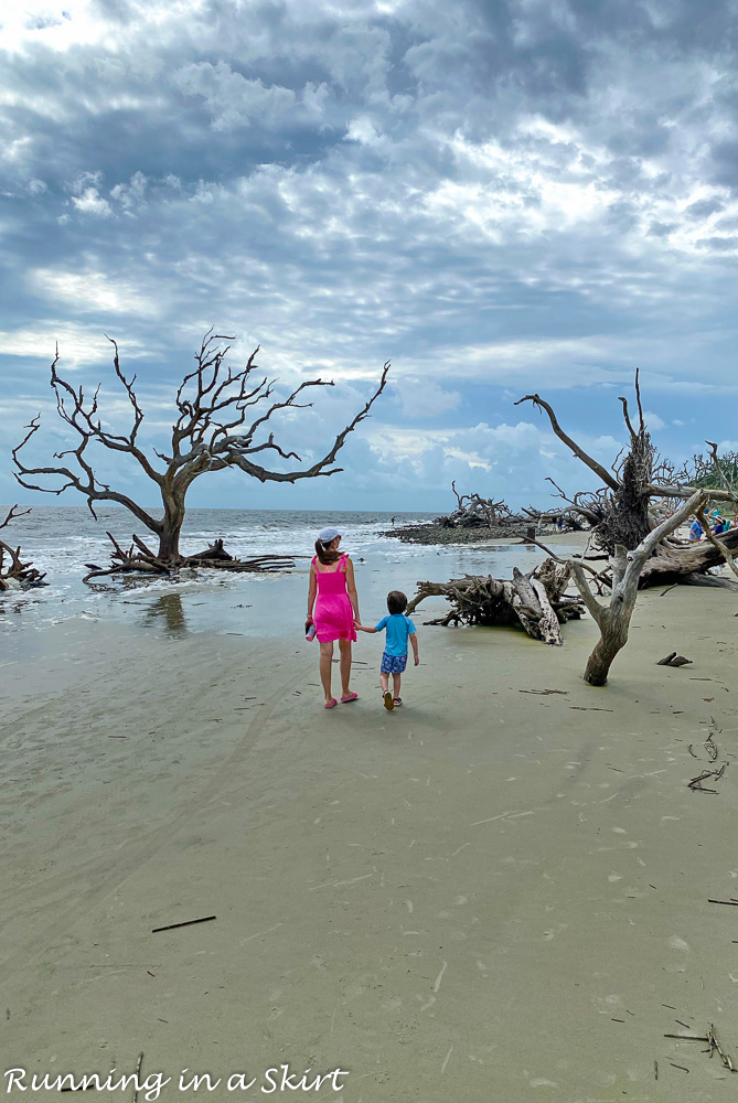 Driftwood Beach Jekyll Island « Running in a Skirt