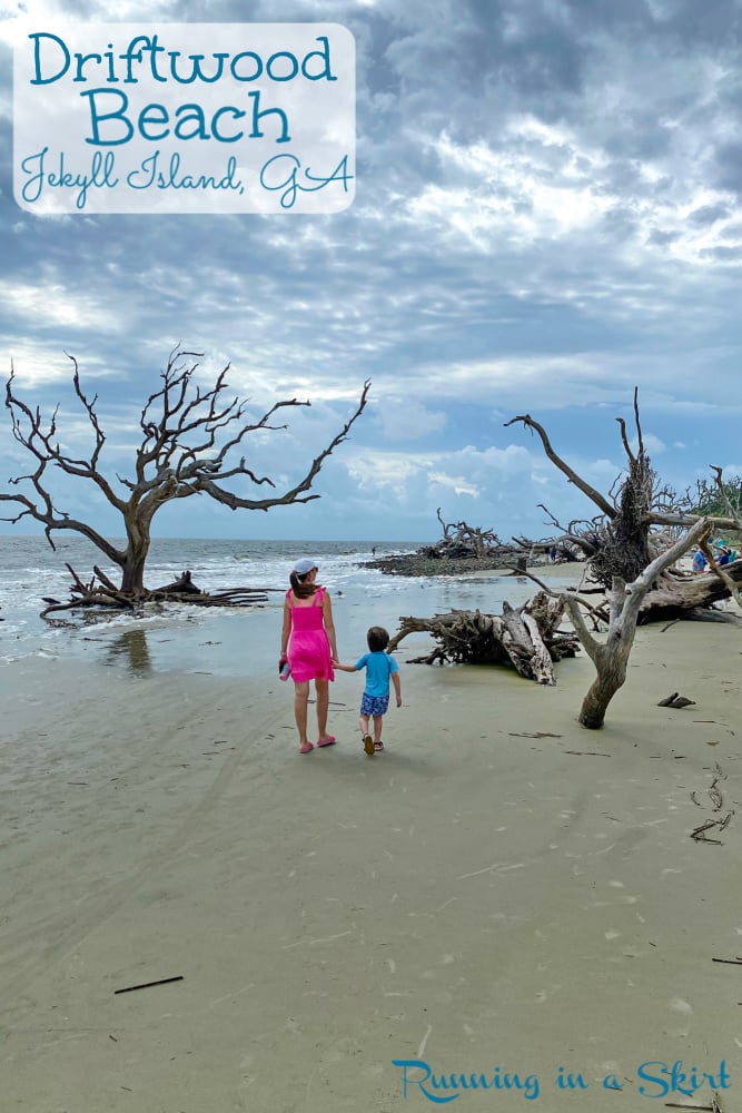 Driftwood Beach Jekyll Island Pinterest Pin