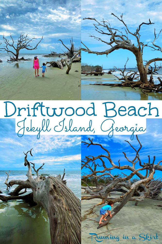 Driftwood Beach Jekyll Island Pinterest collage.