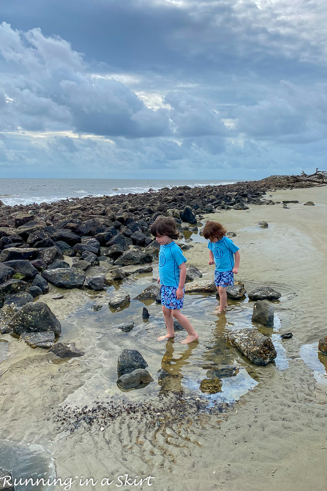 Tidepools on the beach.