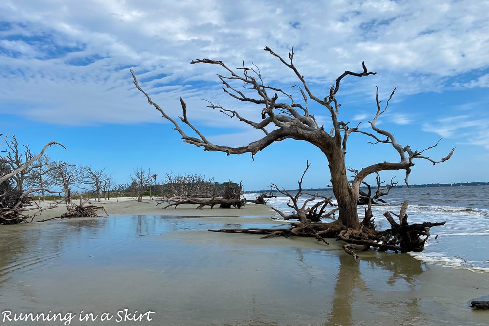 Photo of the tide coming in.